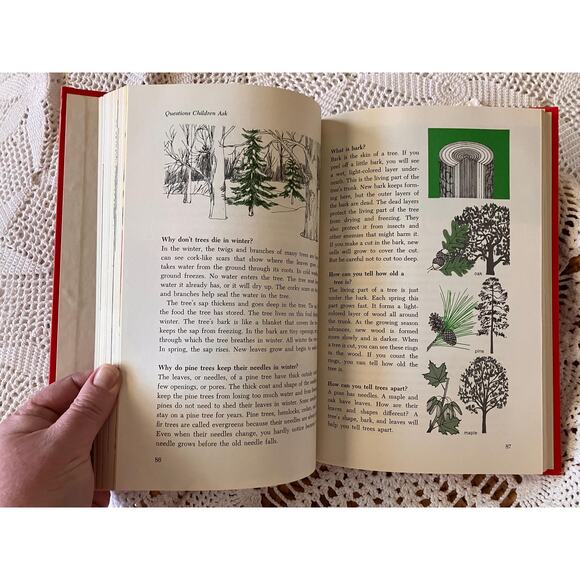 Vintage 'Questions Children Ask' Hardcover Book: 1982 Educational Science - Picture 4 of 9